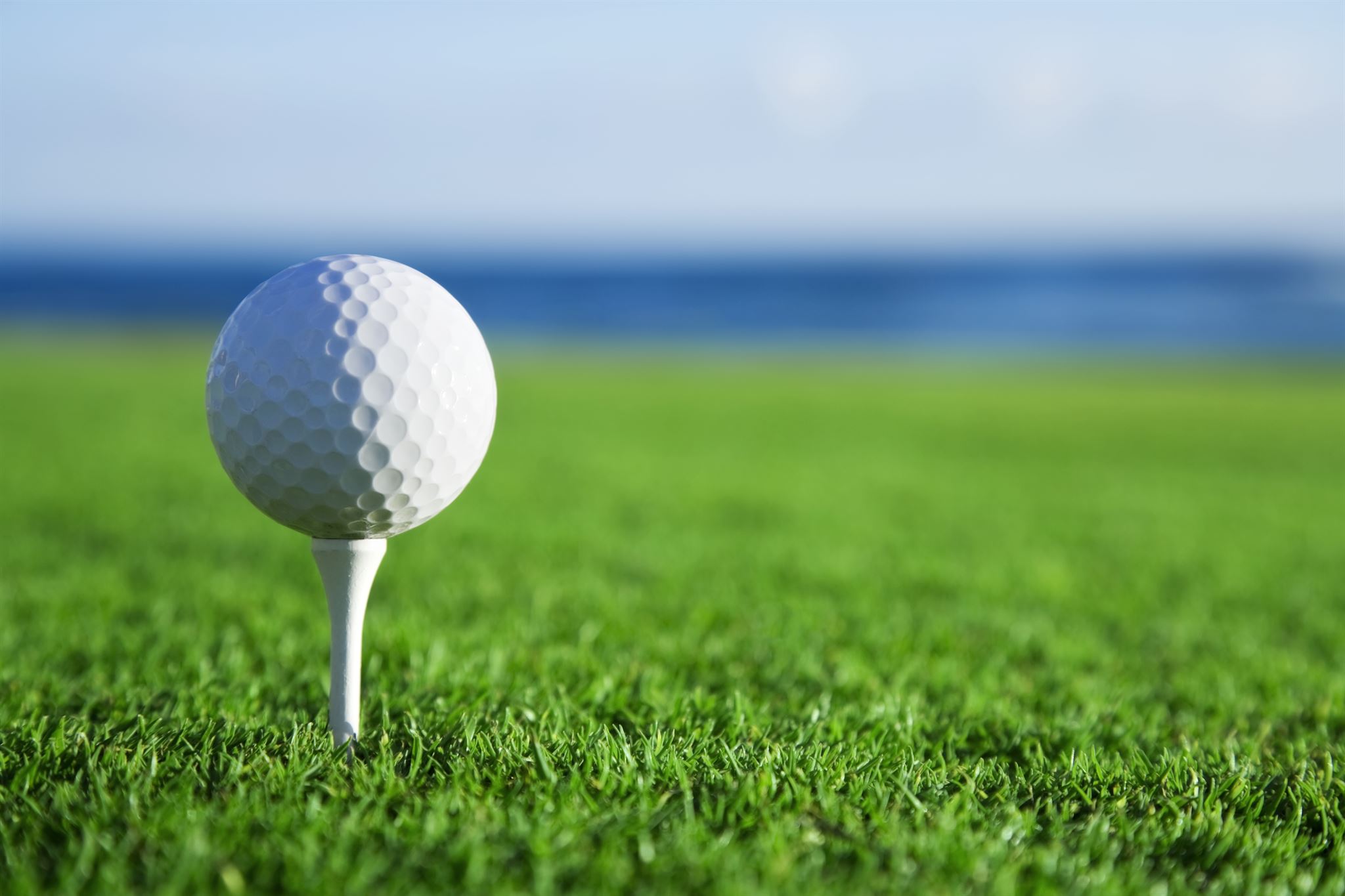 Golf No.1 complete